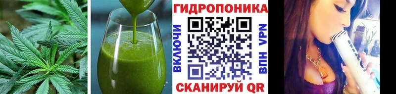 Cannafood конопля мориарти формула Починок магазин продажи наркотиков