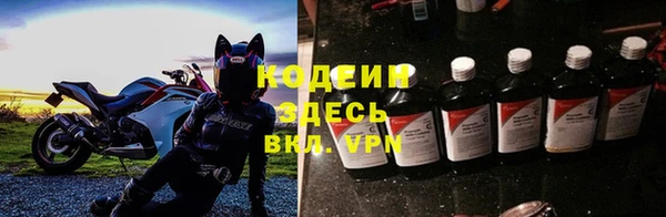 крисы Абаза