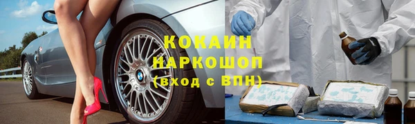 крисы Абаза
