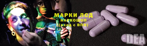 крисы Абаза
