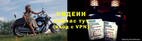 крисы Абаза