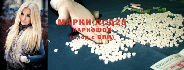 крисы Абаза