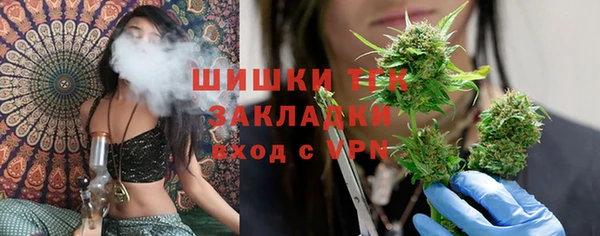 крисы Абаза