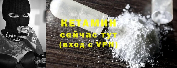 крисы Абаза